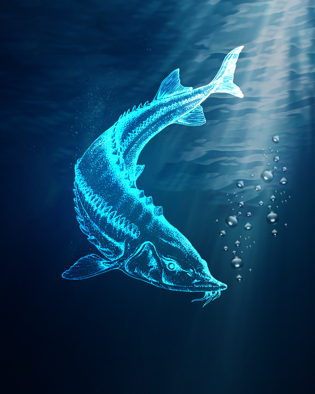 Mavilərdən doğan bir hekayə...